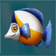 White Orange Fish