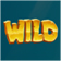 Wild