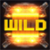 Wild