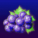 Grape