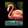 Pink Flamingo