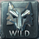 Dire wolf wild