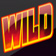 Wild Symbol