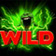 Wild2