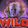 Wild3