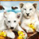 White King Cubs